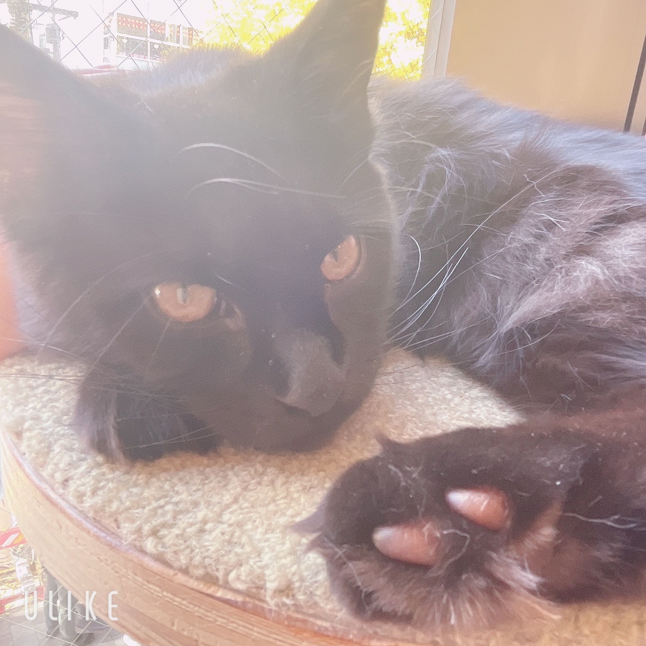 Featured image of the post