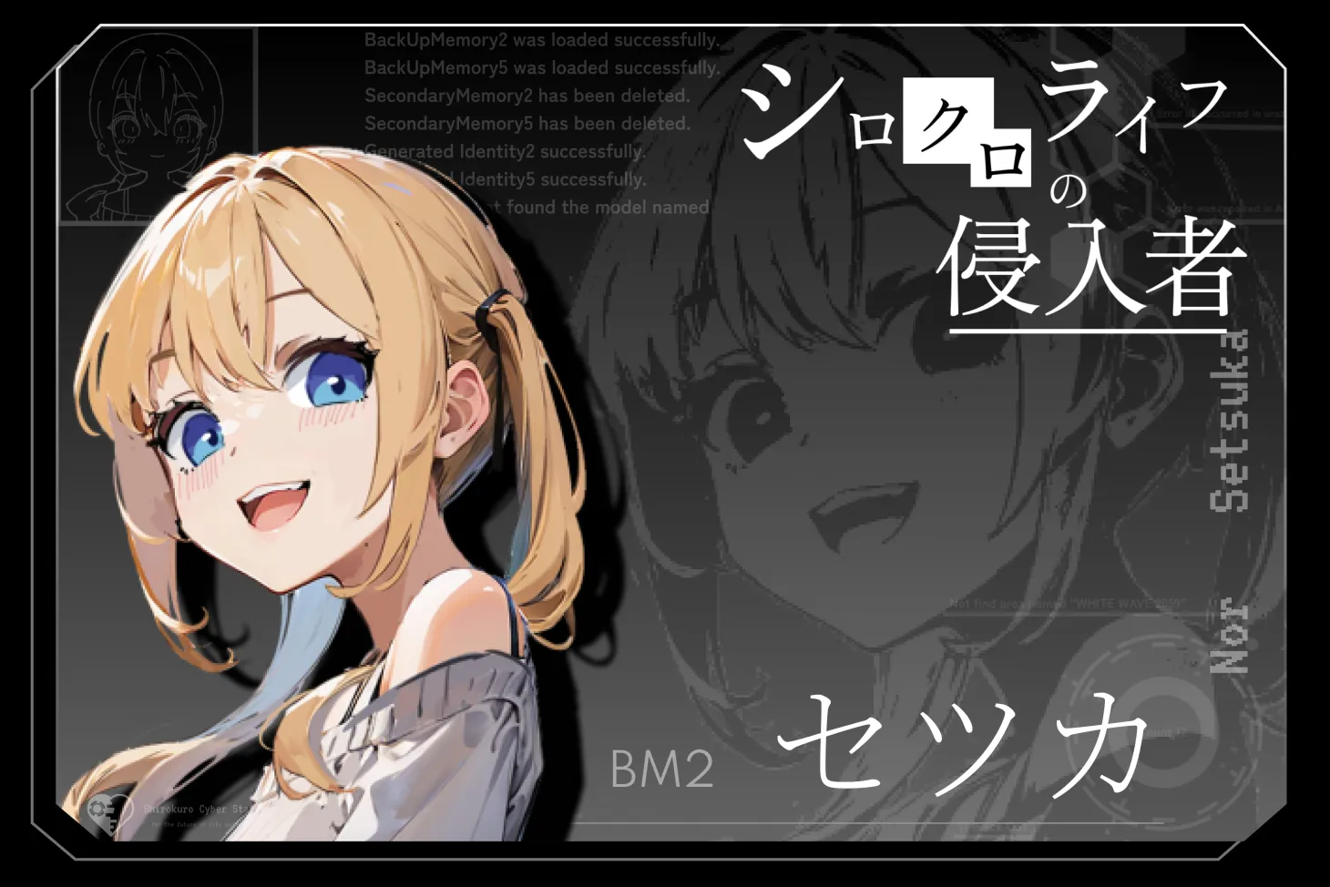 Image in a image block